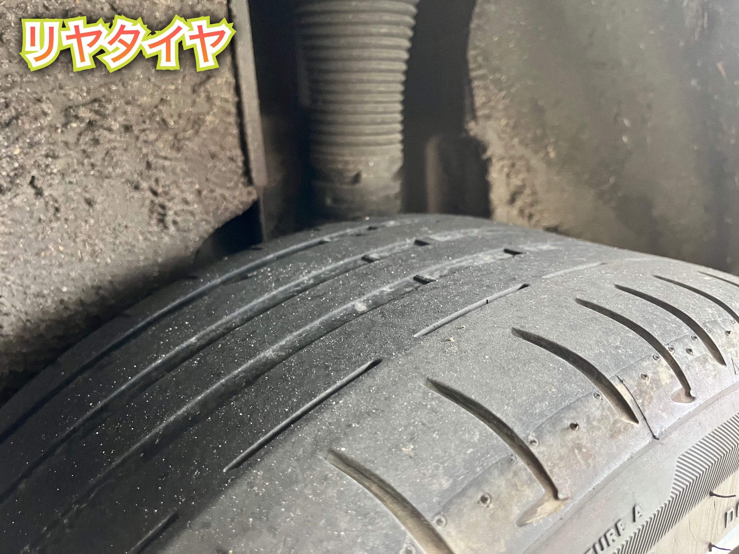 全体
