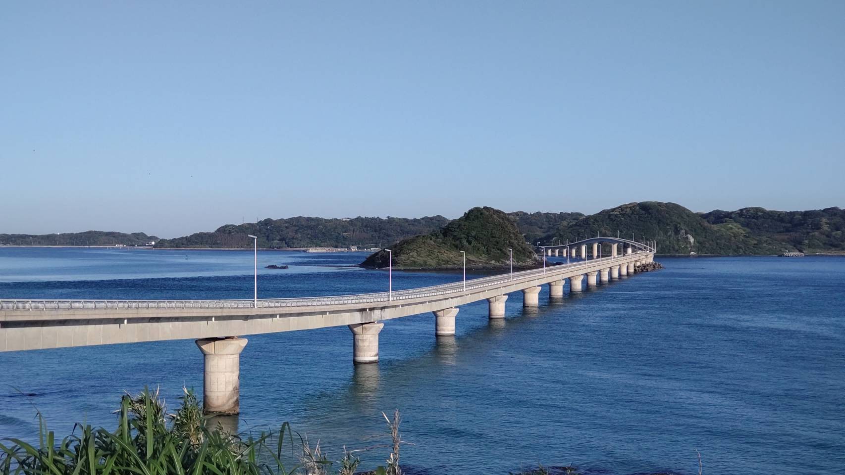 艸`) ちょっと空いた時間に”珍道中編いかがでしょうか。” お知らせ ミスタータイヤマン PADDOCK泉 大阪府・和歌山県の