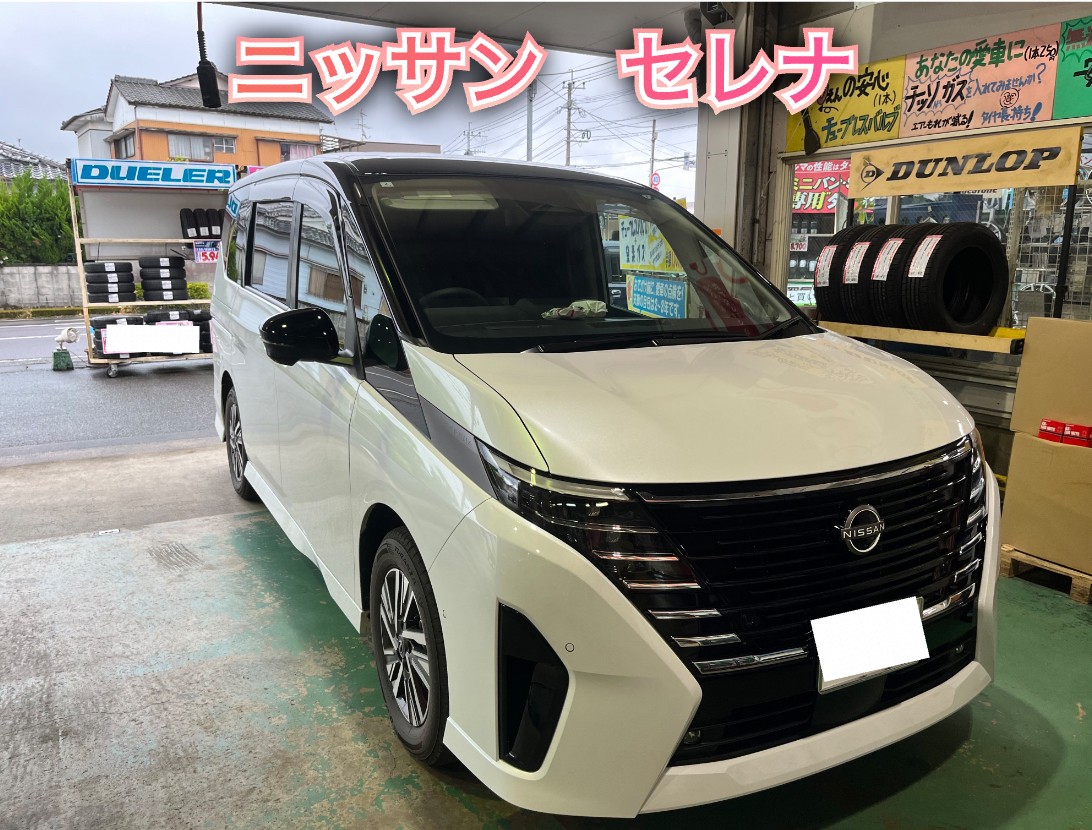 全体