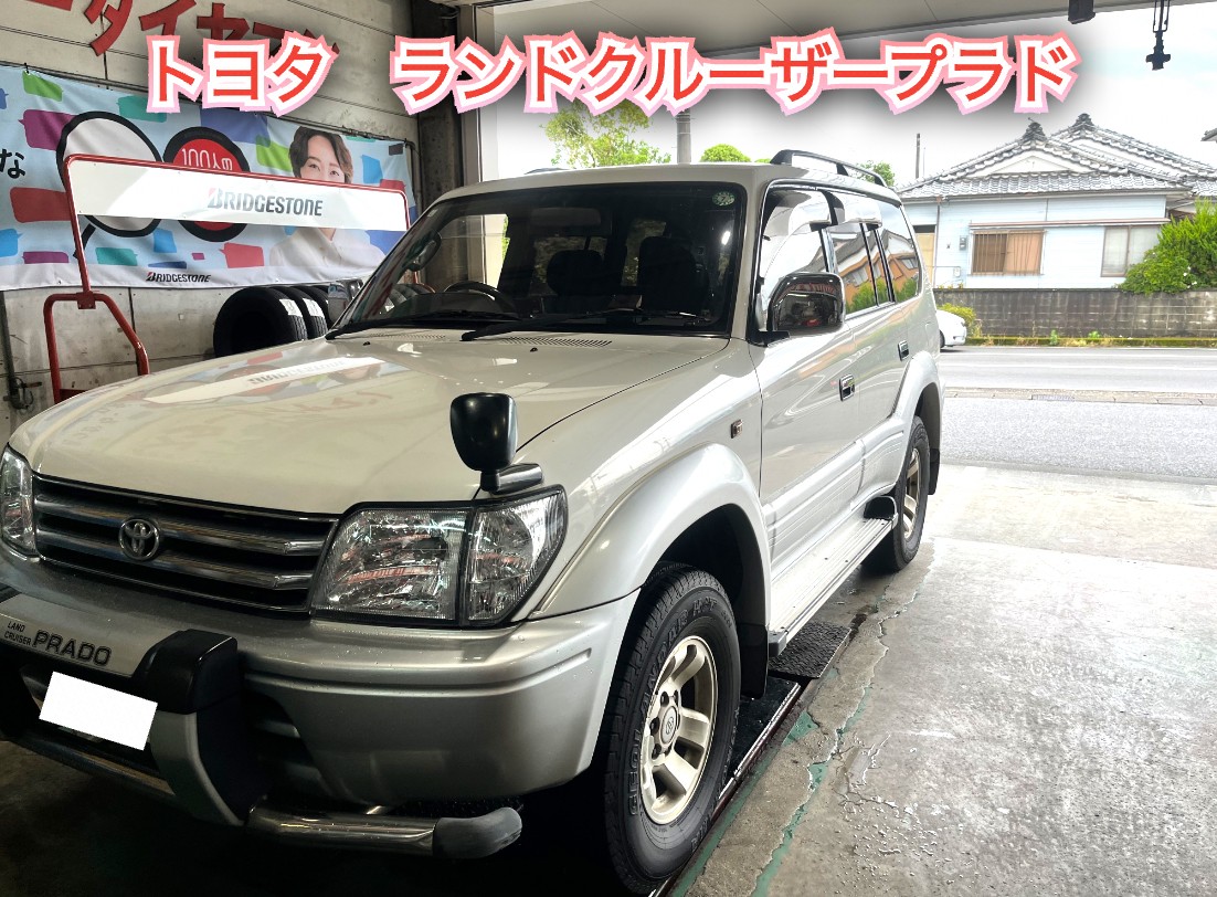 全体