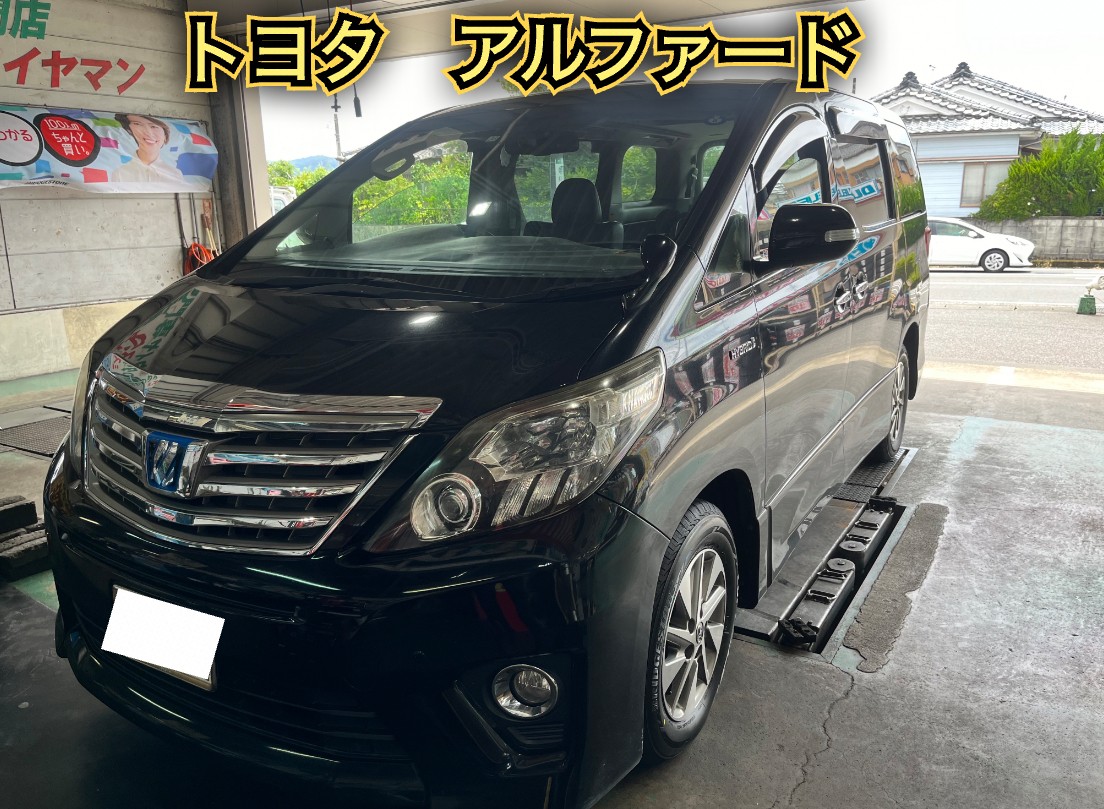 全体