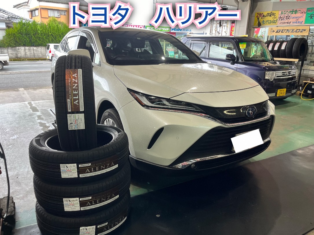 全体