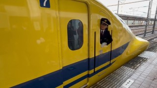 動画
