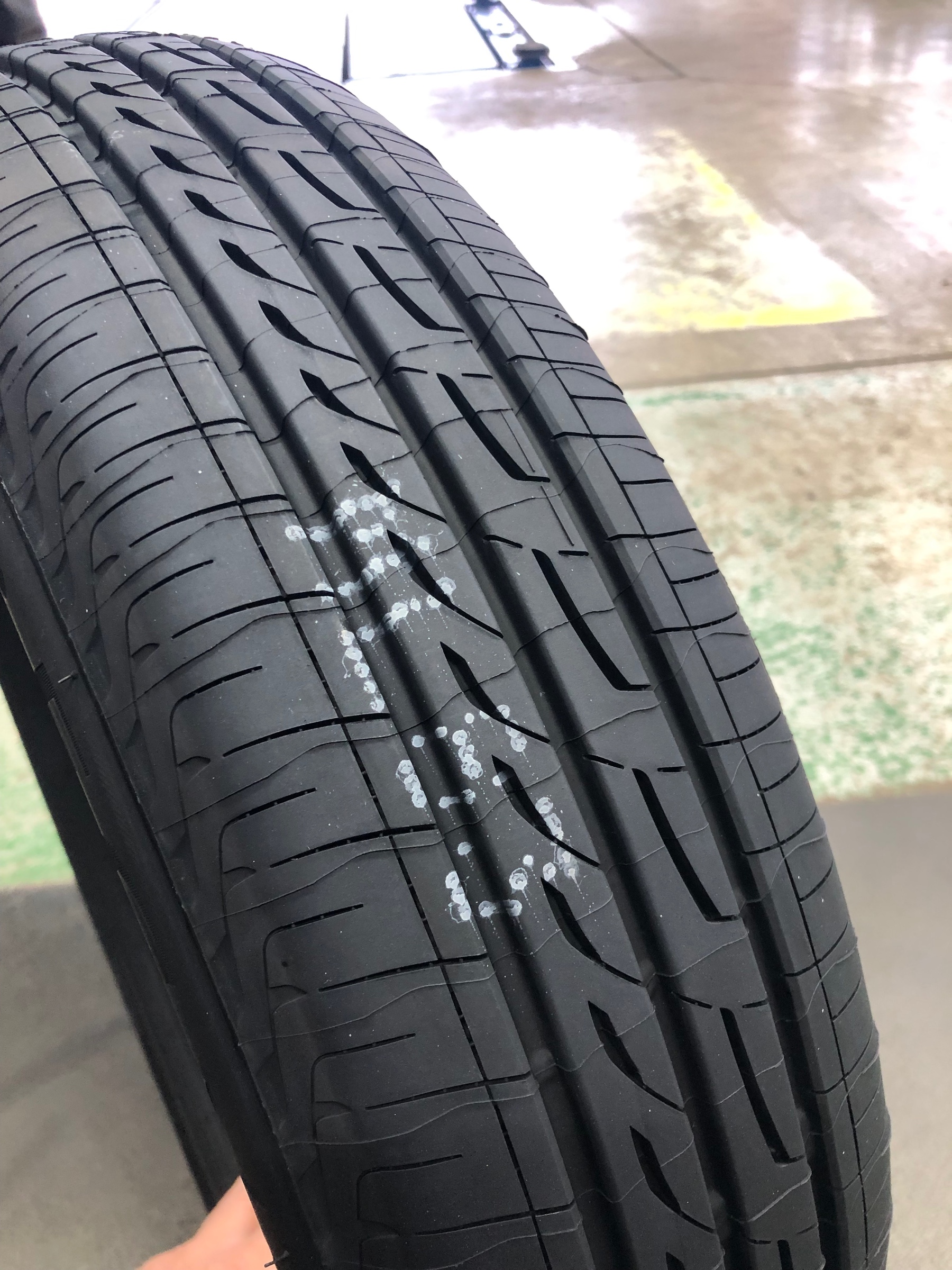 スタッフが撮影しました