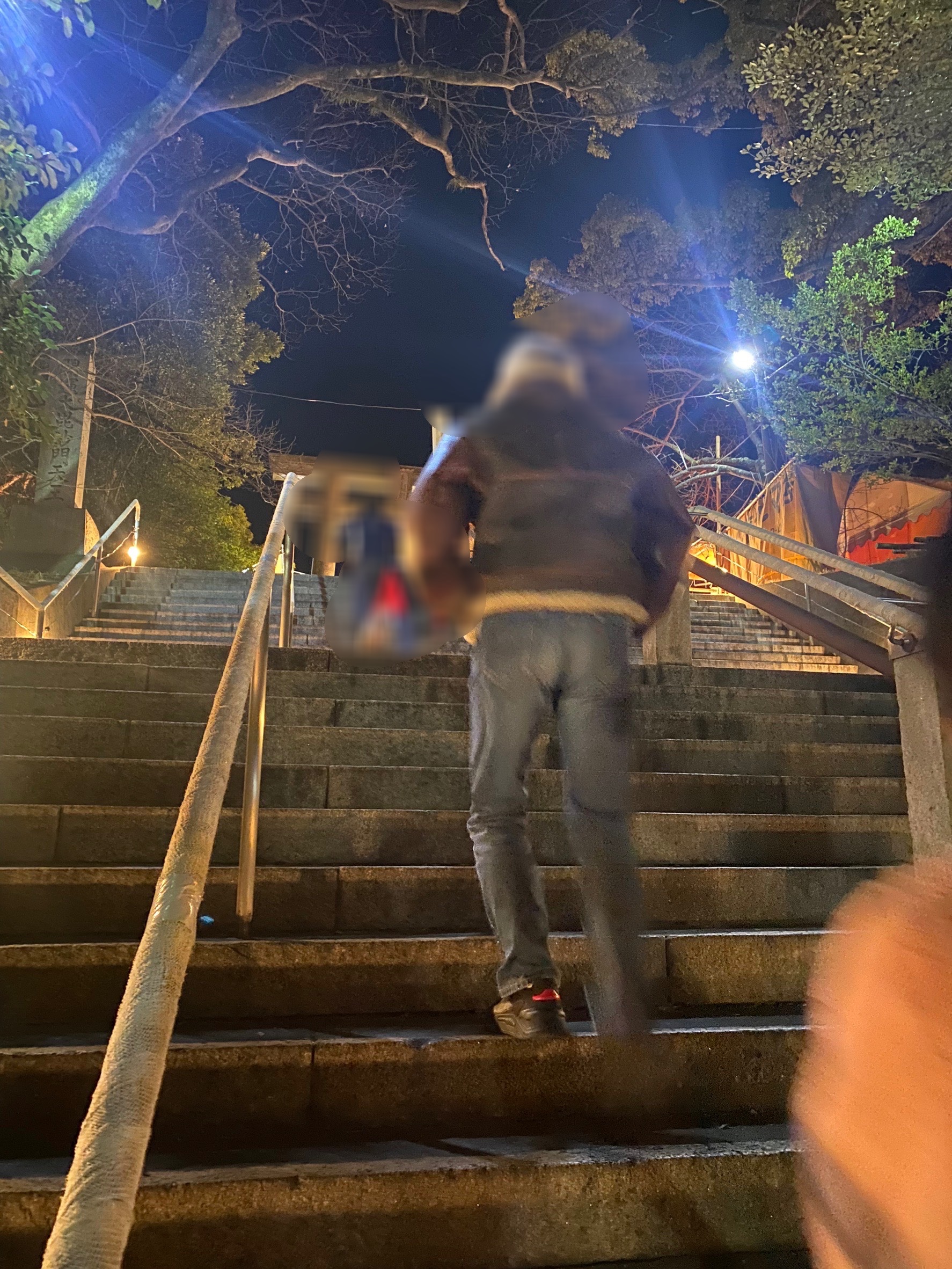 スタッフが撮影した画像です
