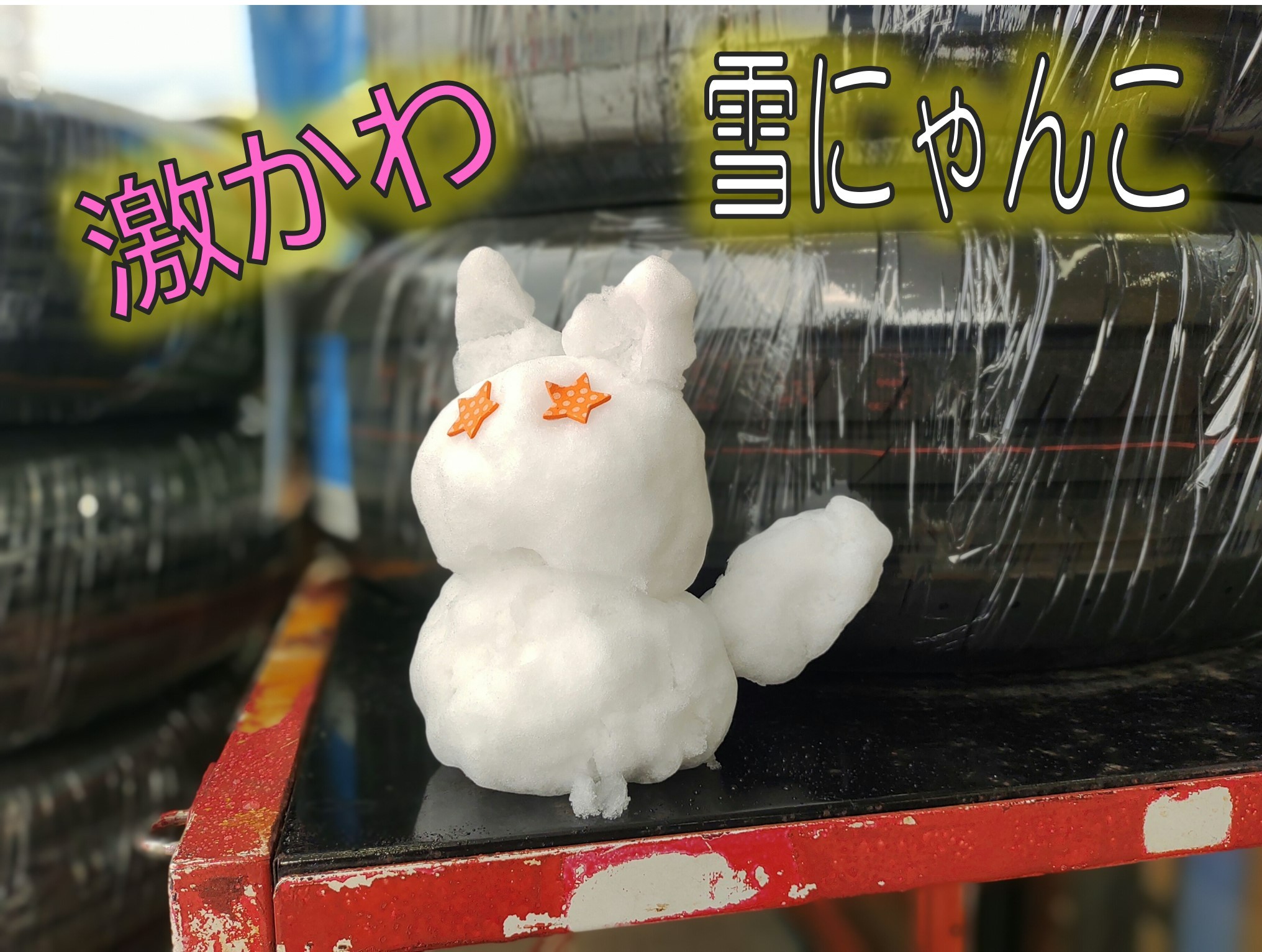 激かわ 雪にゃんこ