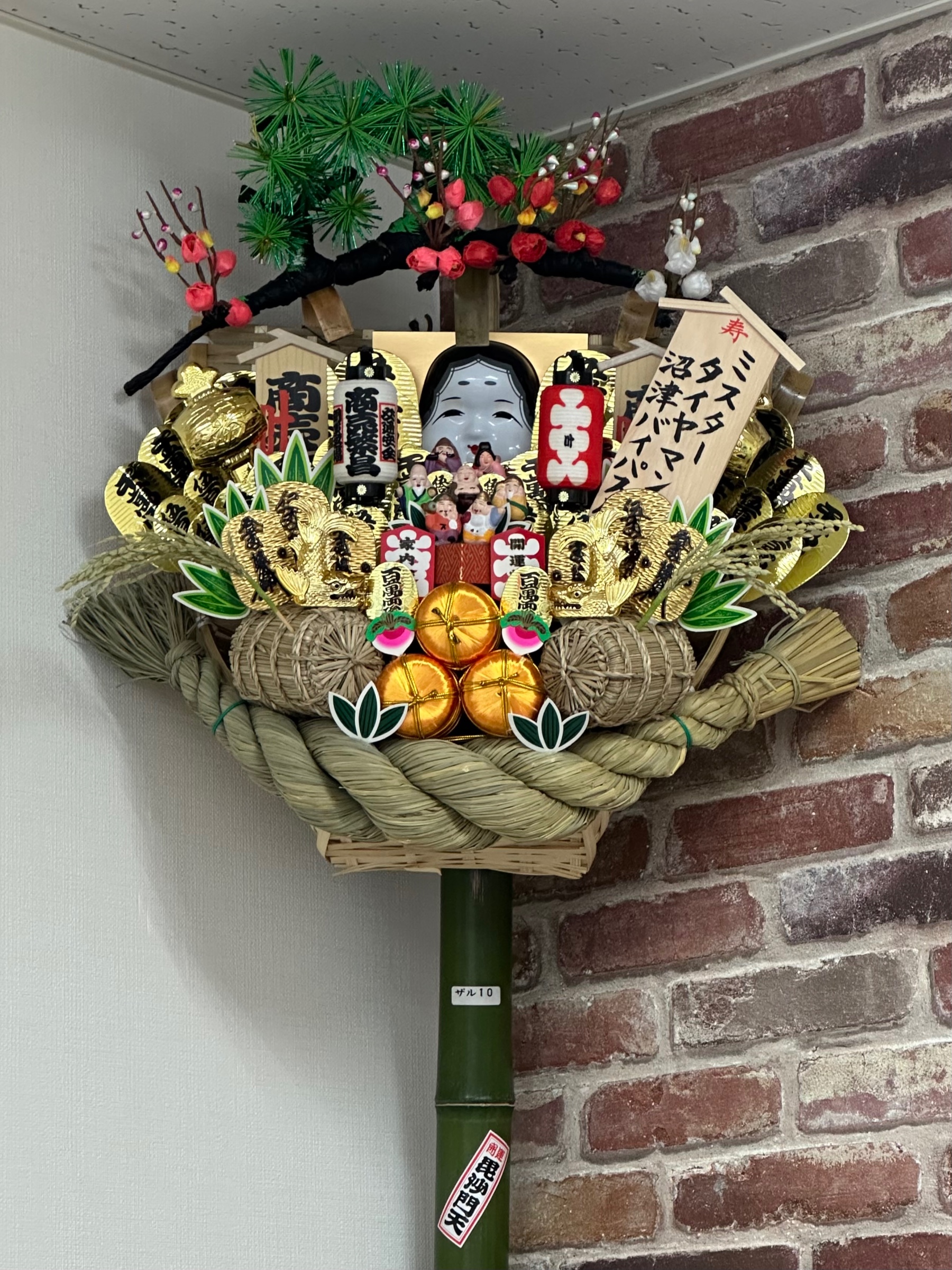 スタッフが撮影した画像です