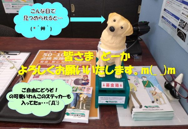 見つめられると