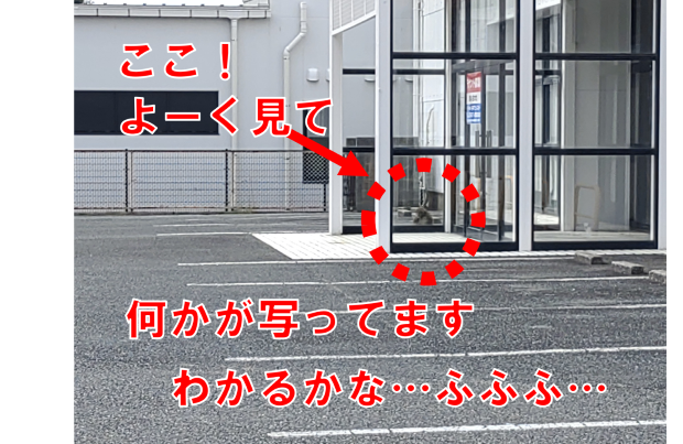 猿(1)