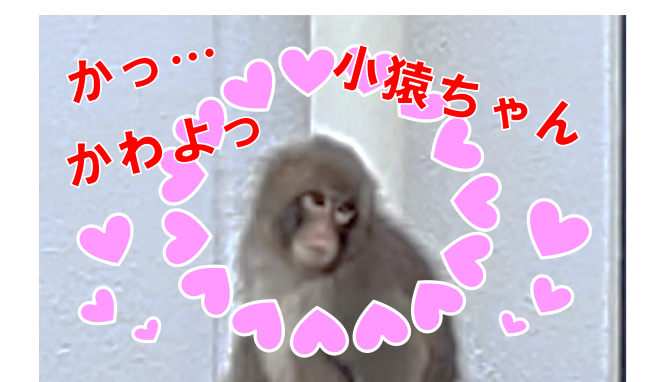 猿(4)