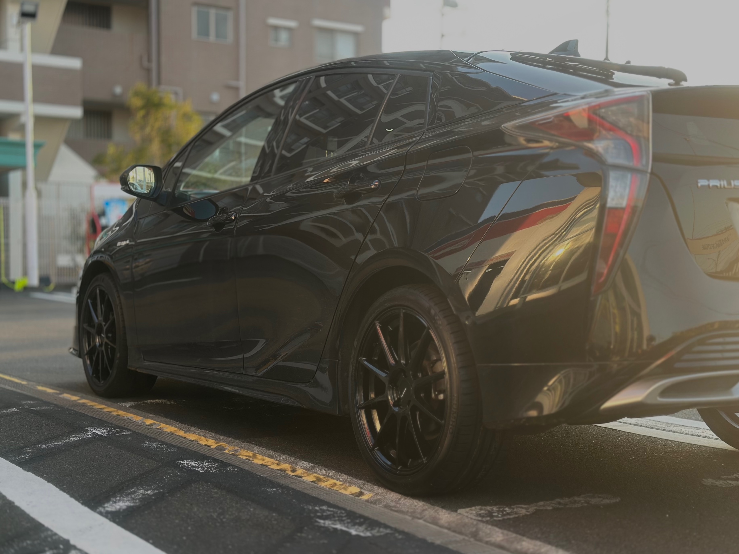 スタッフが撮影した画像です