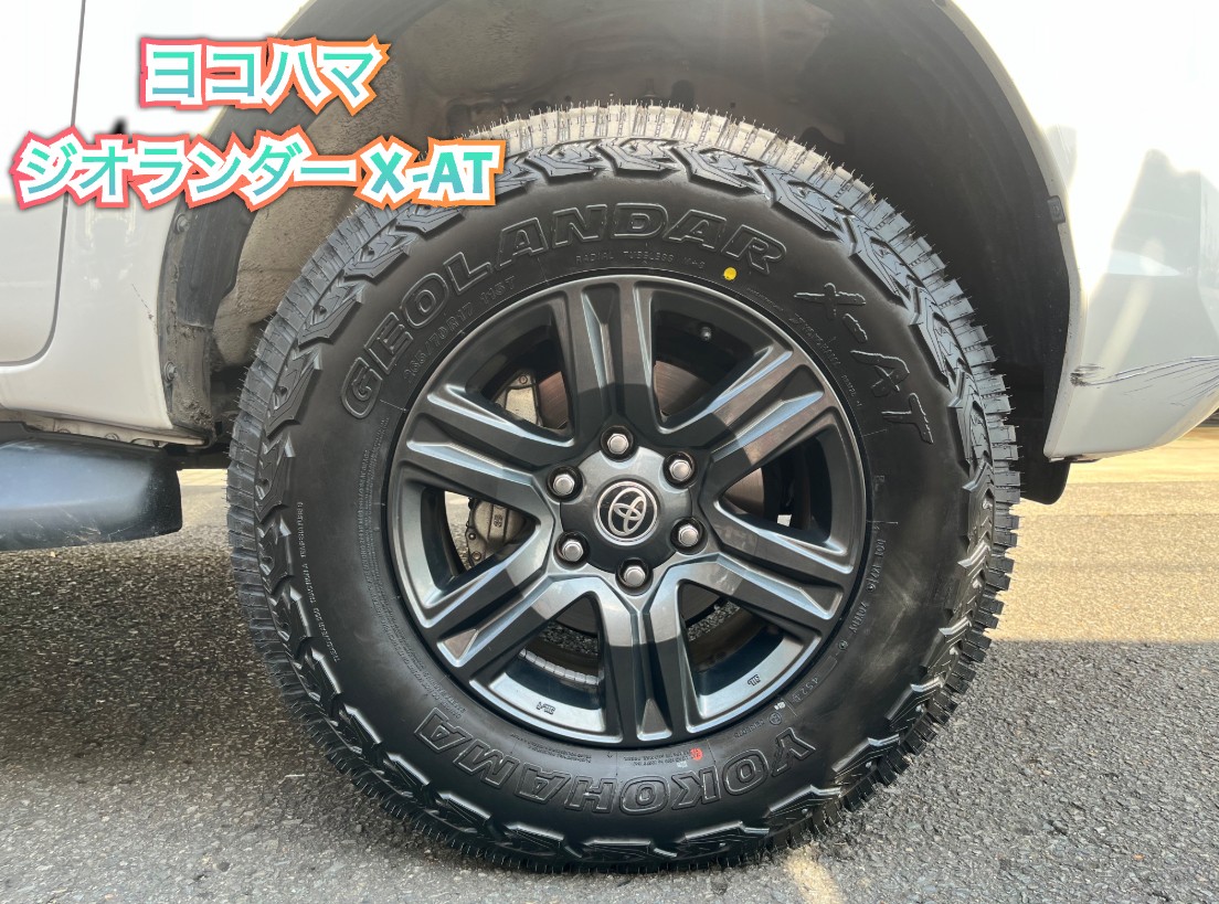 全体