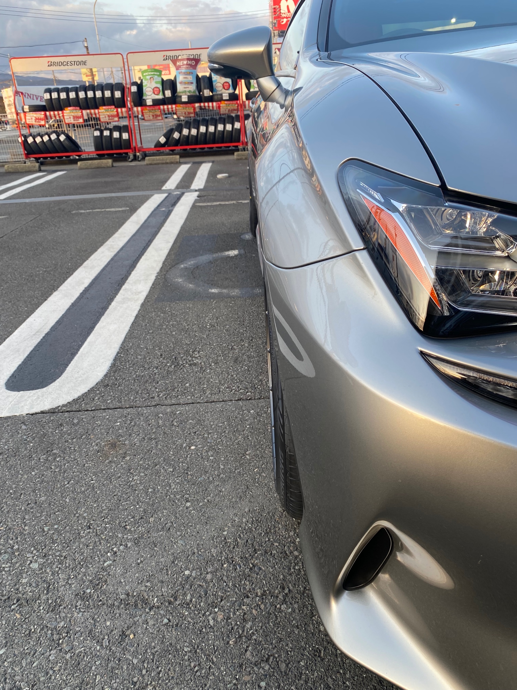 スタッフが撮影した画像です