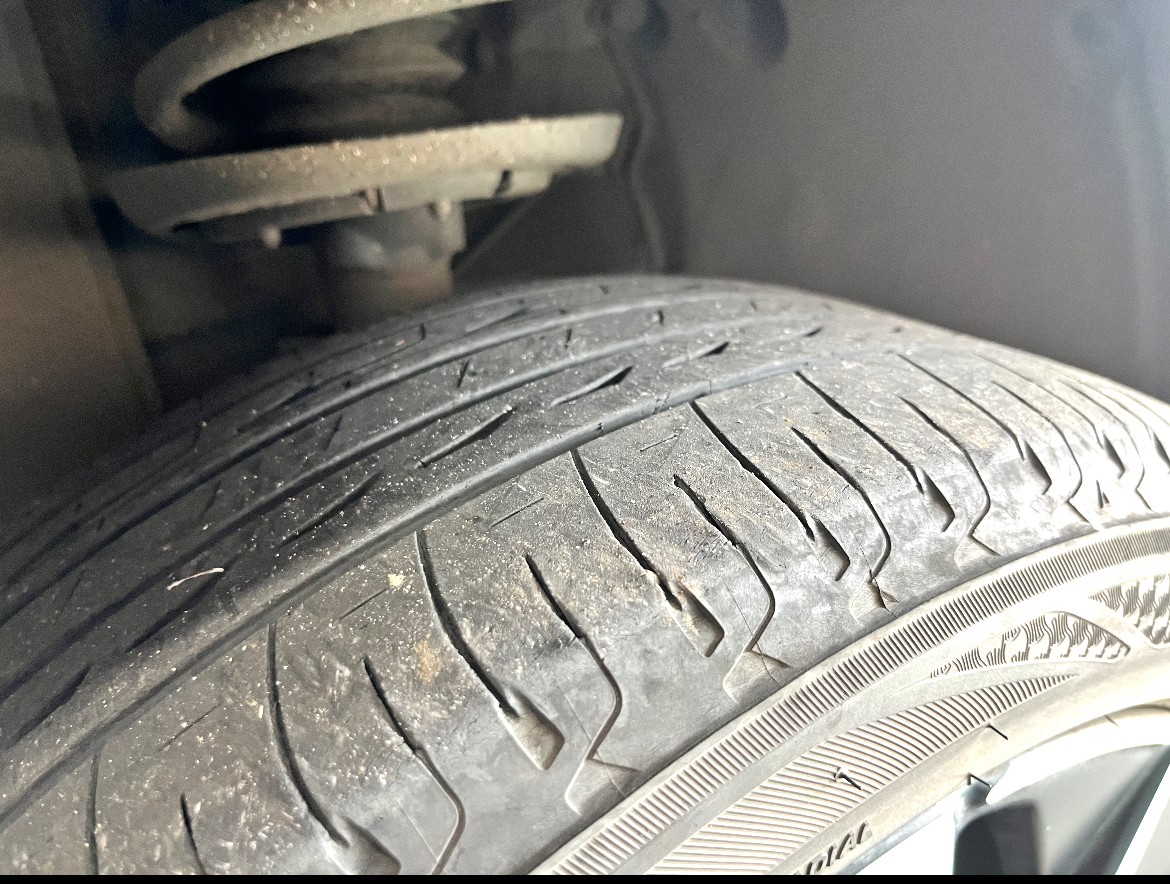 全体