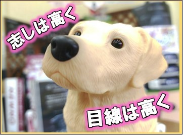 「志しは高く　目線は高く」の画像