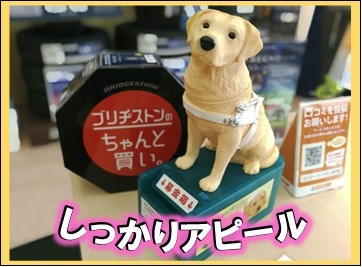 「しっかりアピール」の画像