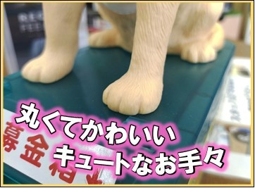 「丸くてかわいい　キュートなお手々」の画像