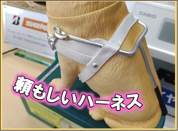 「頼もしいハーネス」の画像