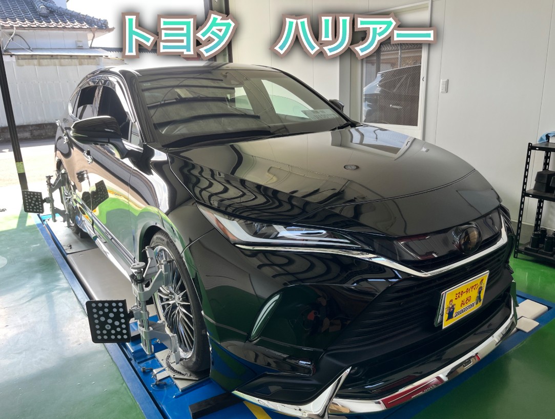 全体