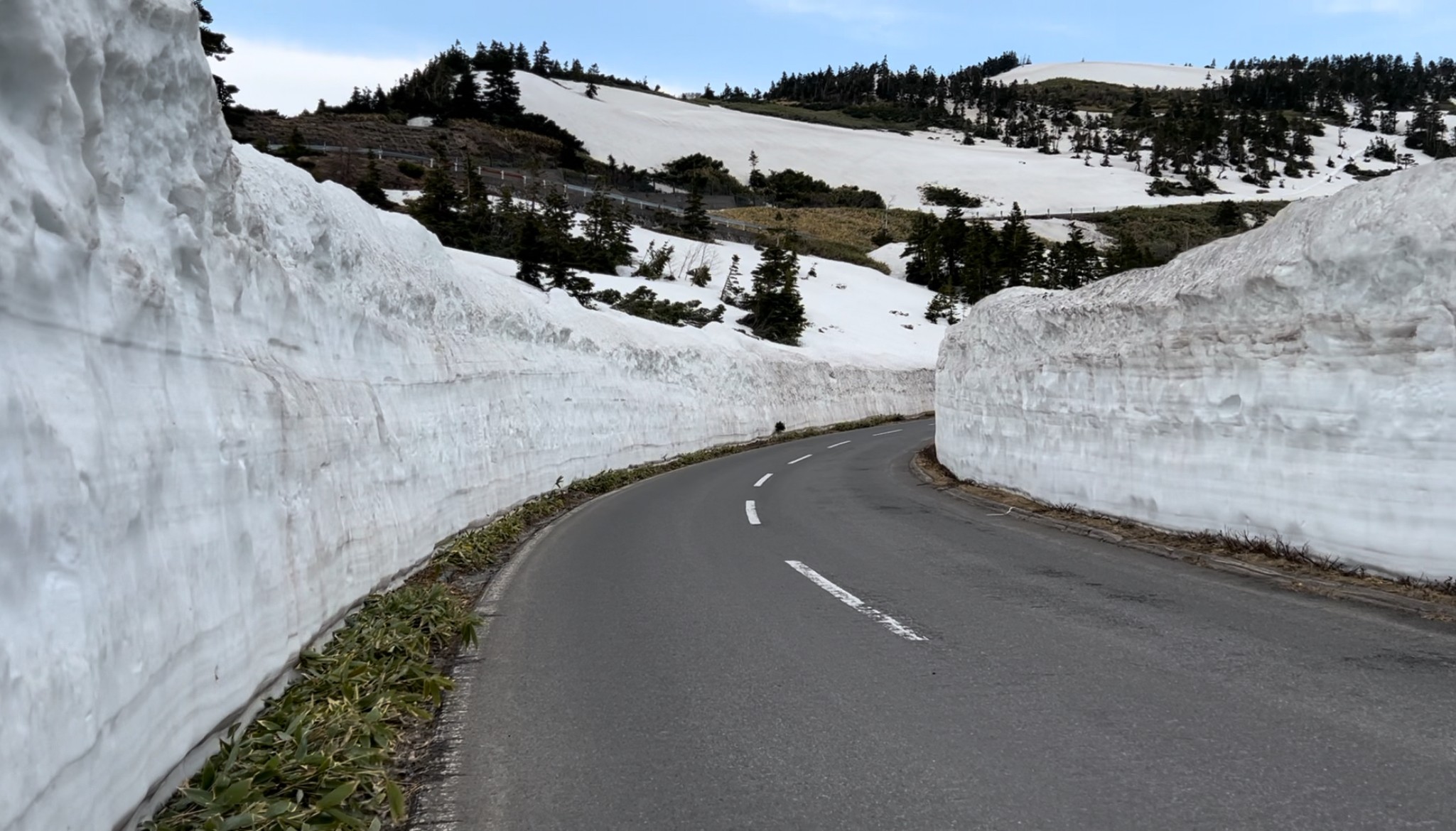 渋峠の雪の回廊