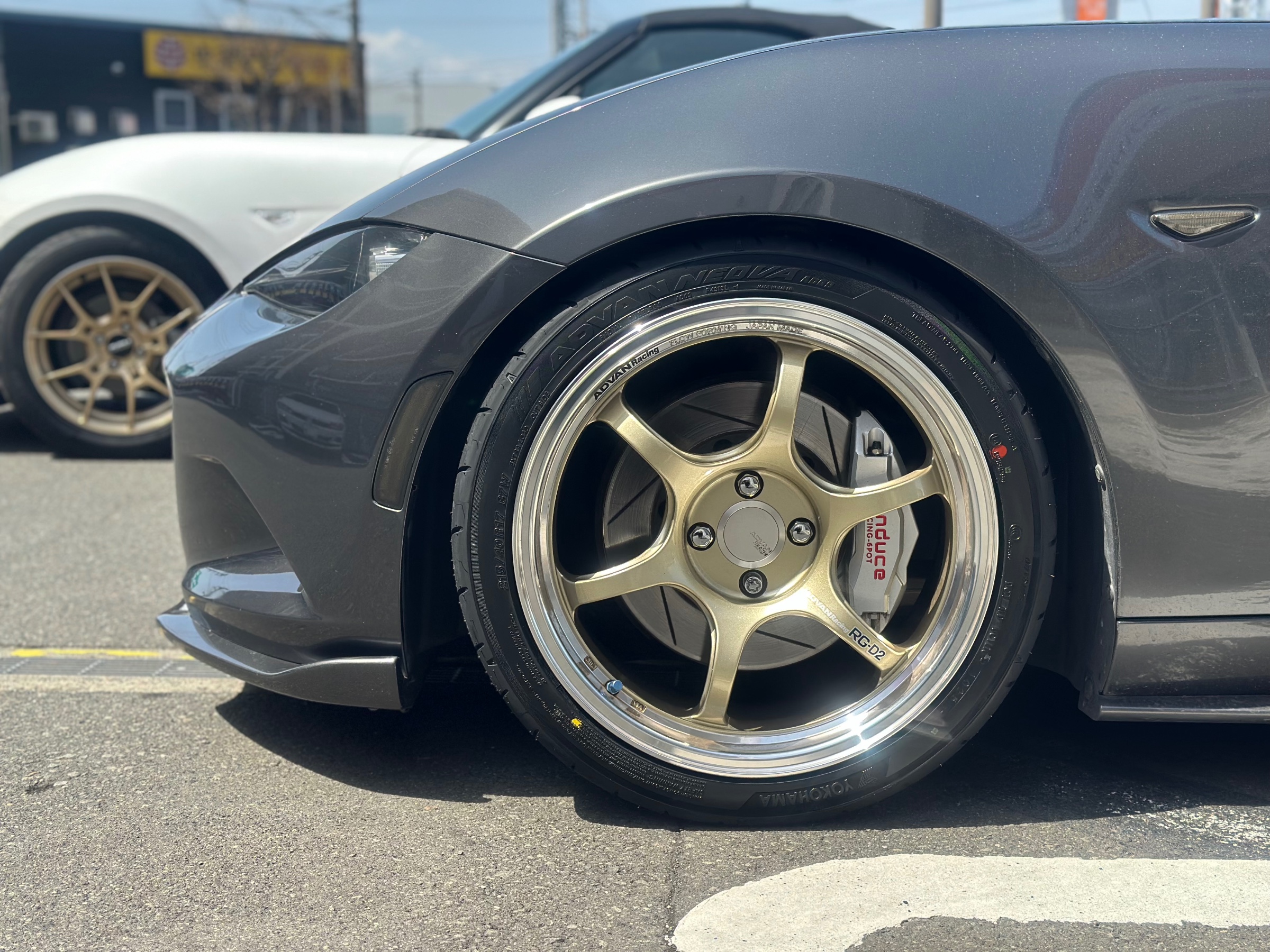 スタッフが撮影した画像です