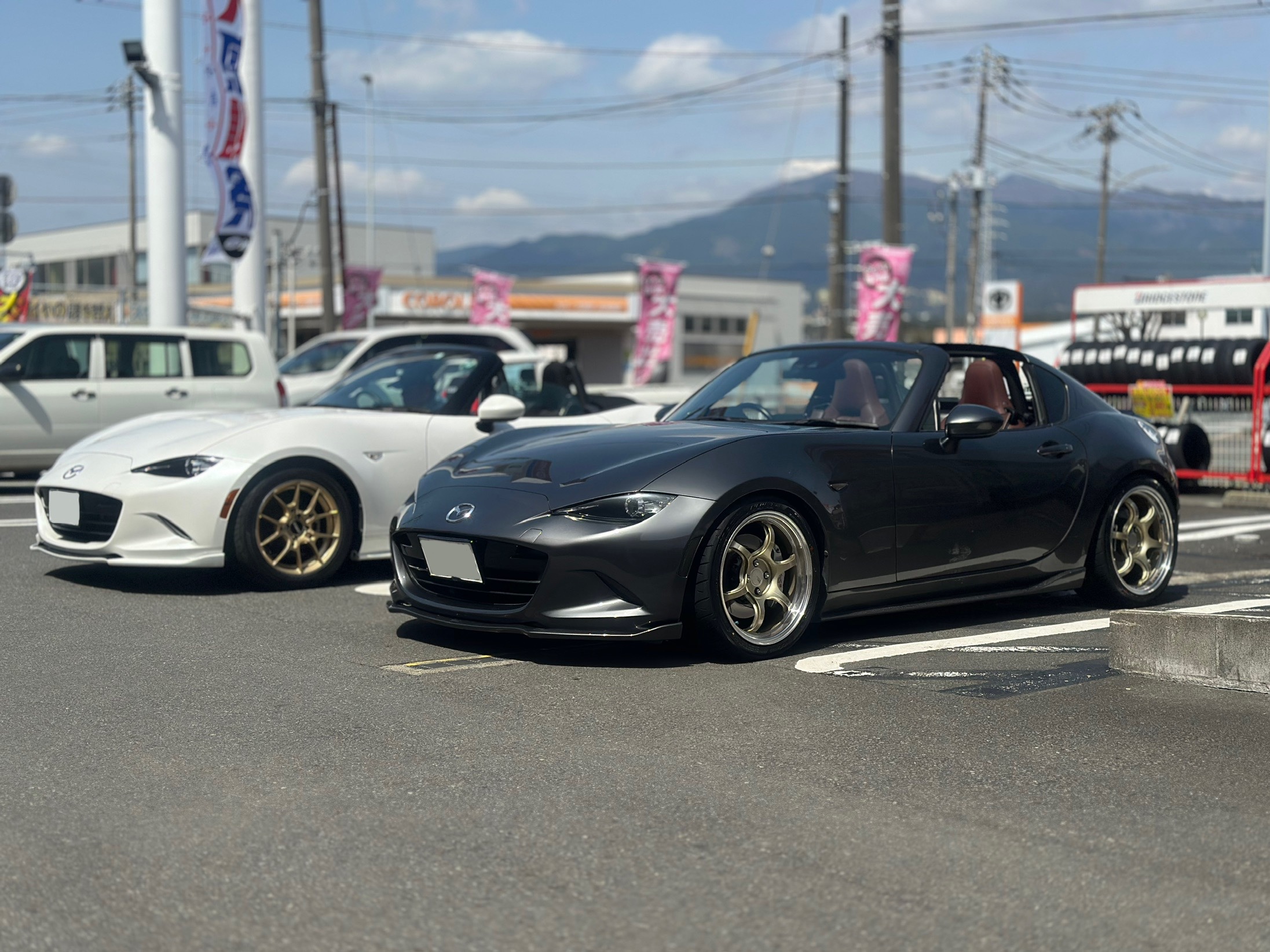 スタッフが撮影した画像です