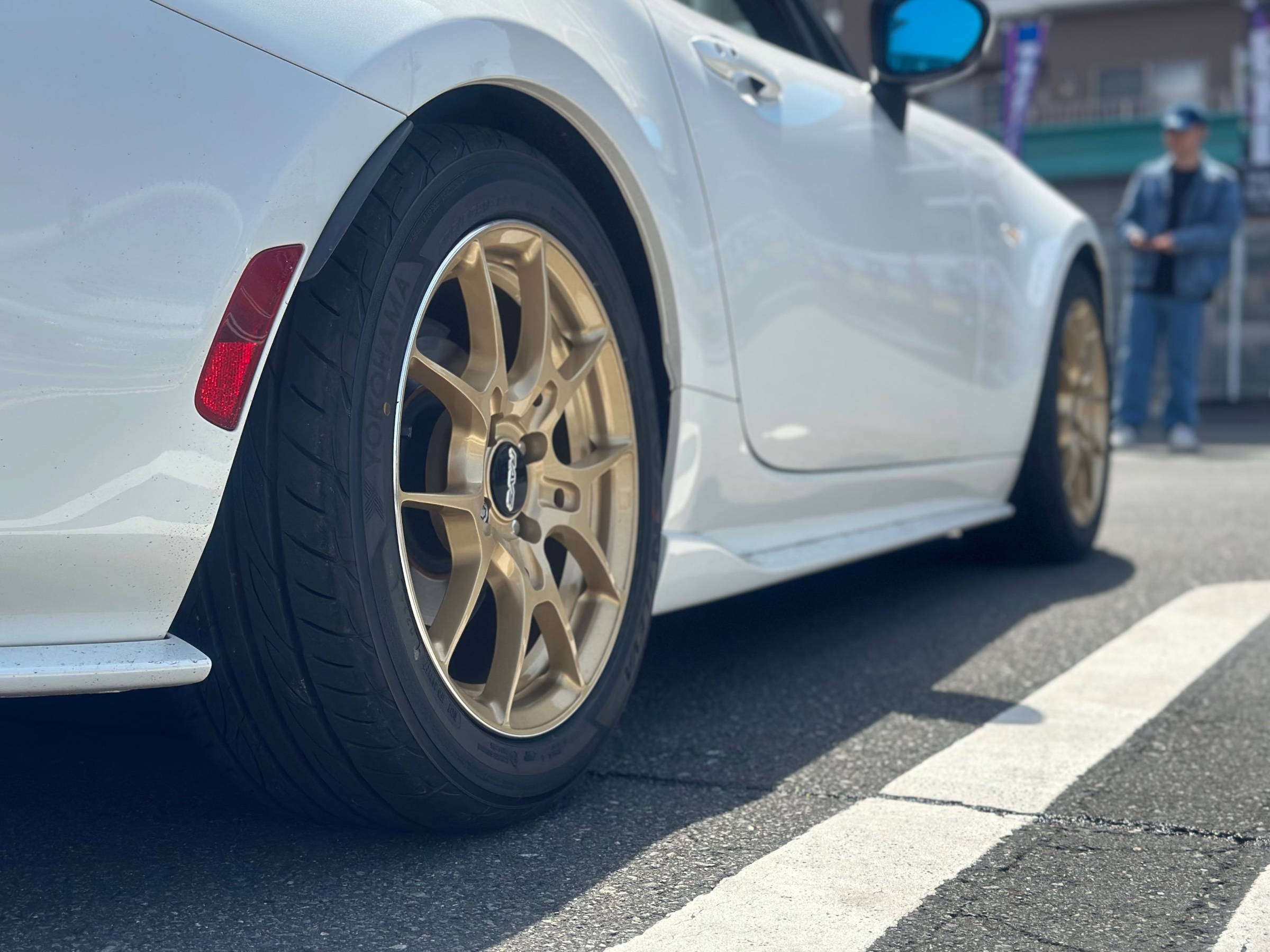 スタッフが撮影した画像です