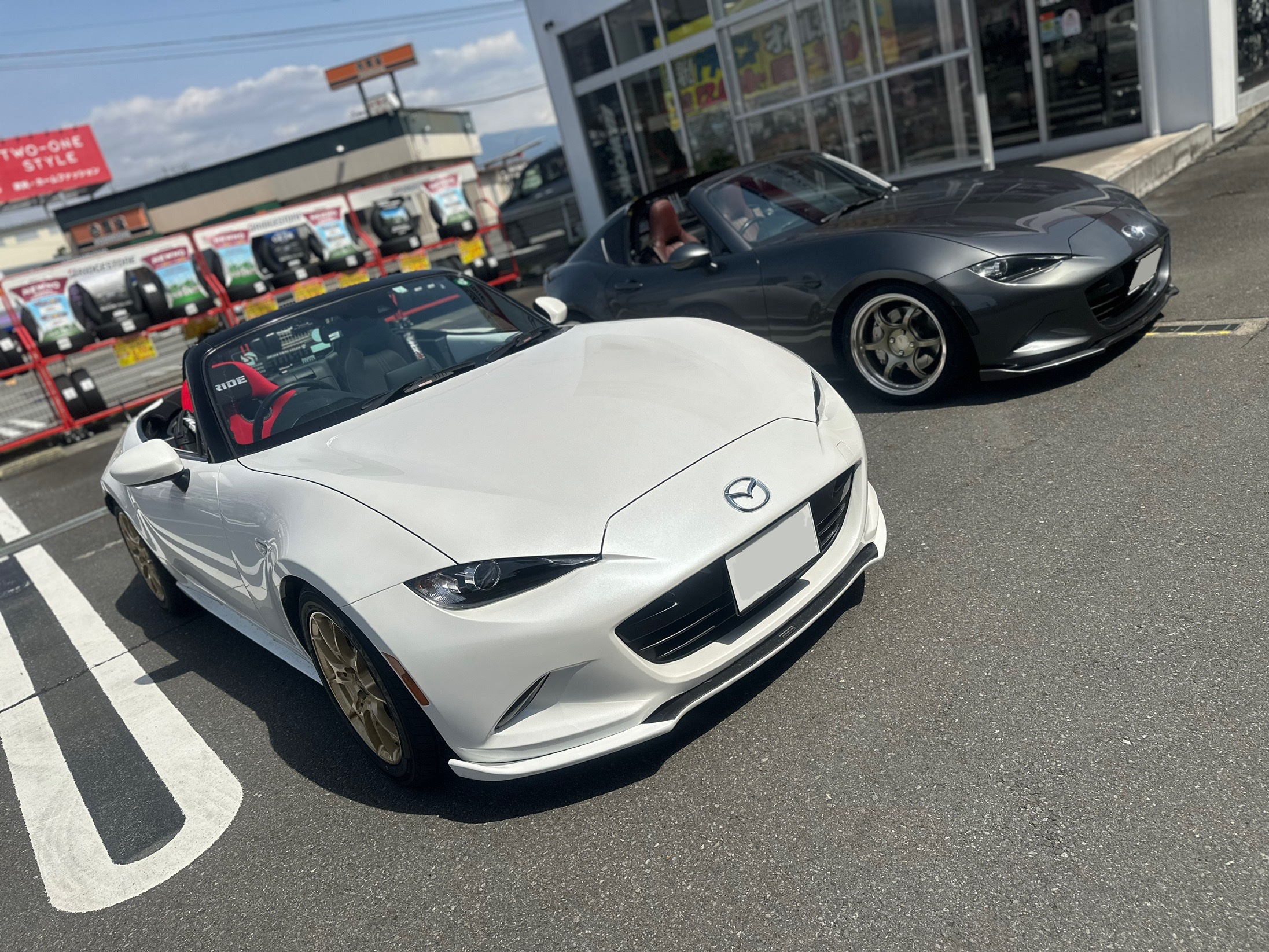 スタッフが撮影した画像です