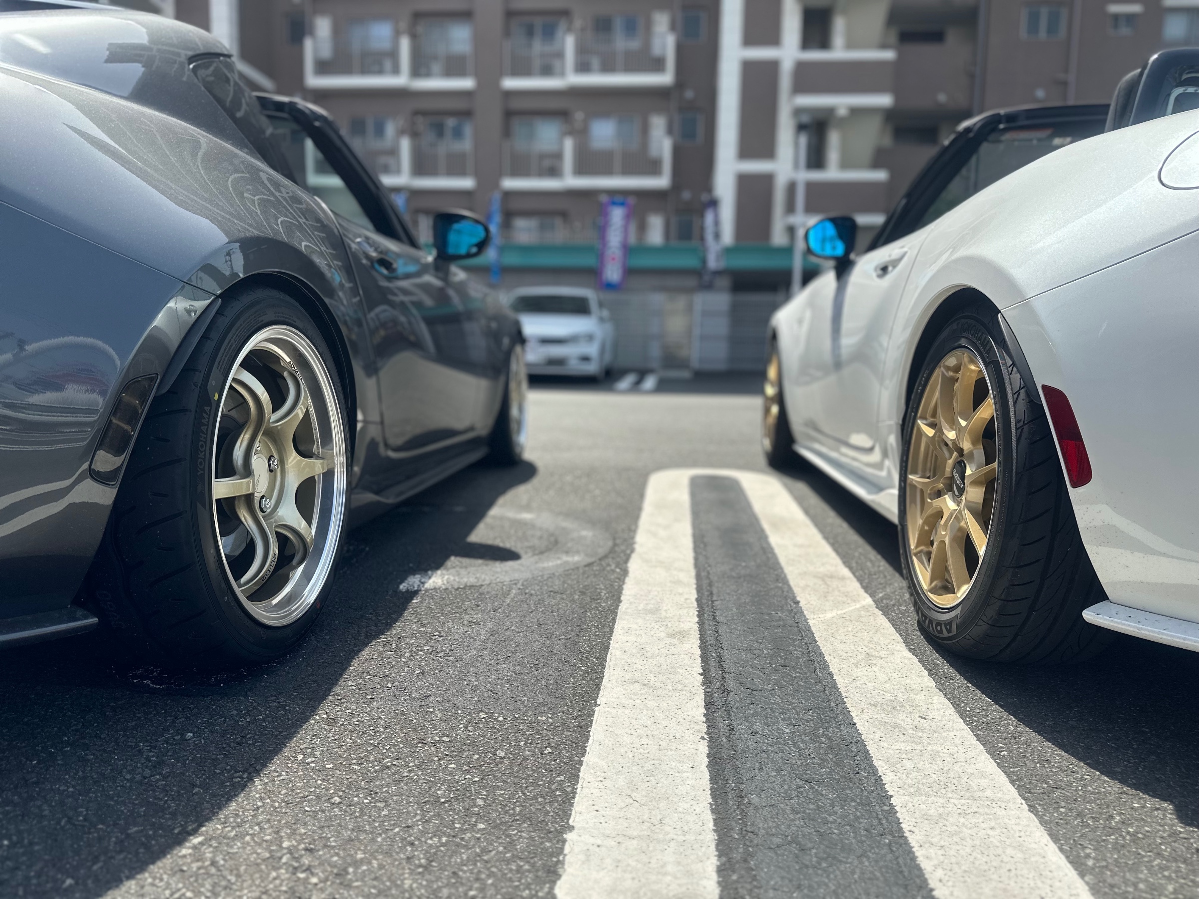スタッフが撮影した画像です