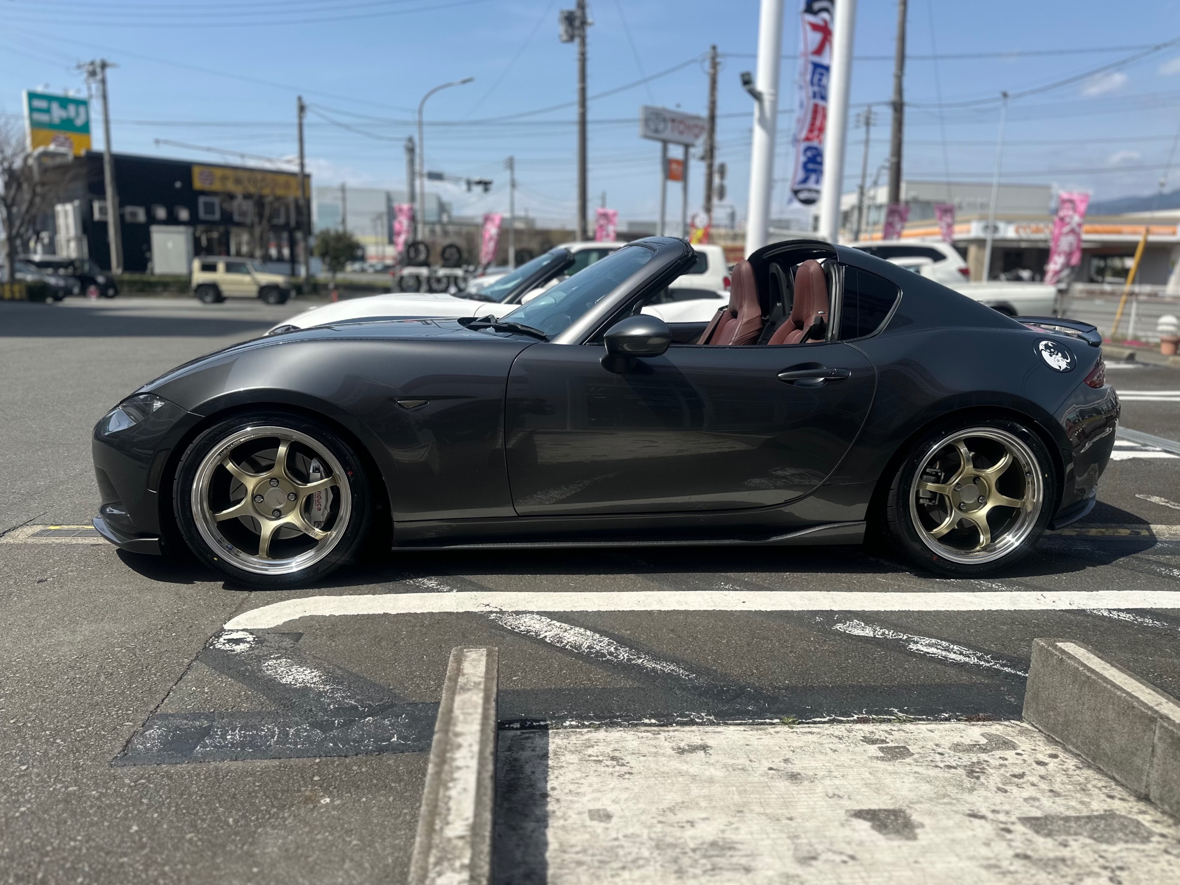 スタッフが撮影した画像です