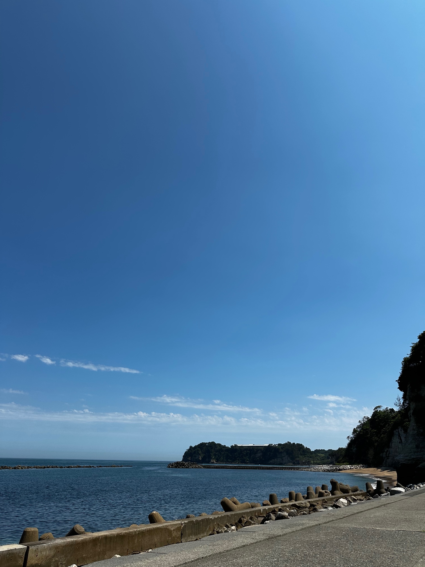 海