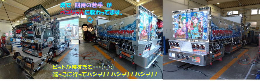 スタッフ撮影画像です。