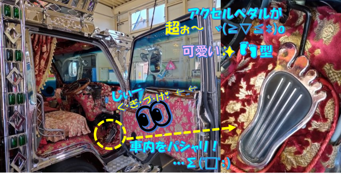 スタッフ撮影画像です。