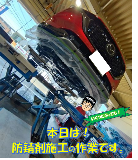 スタッフ撮影画像です。