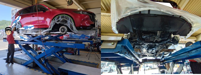 スタッフ撮影画像です。