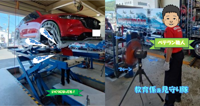 スタッフ撮影画像です。