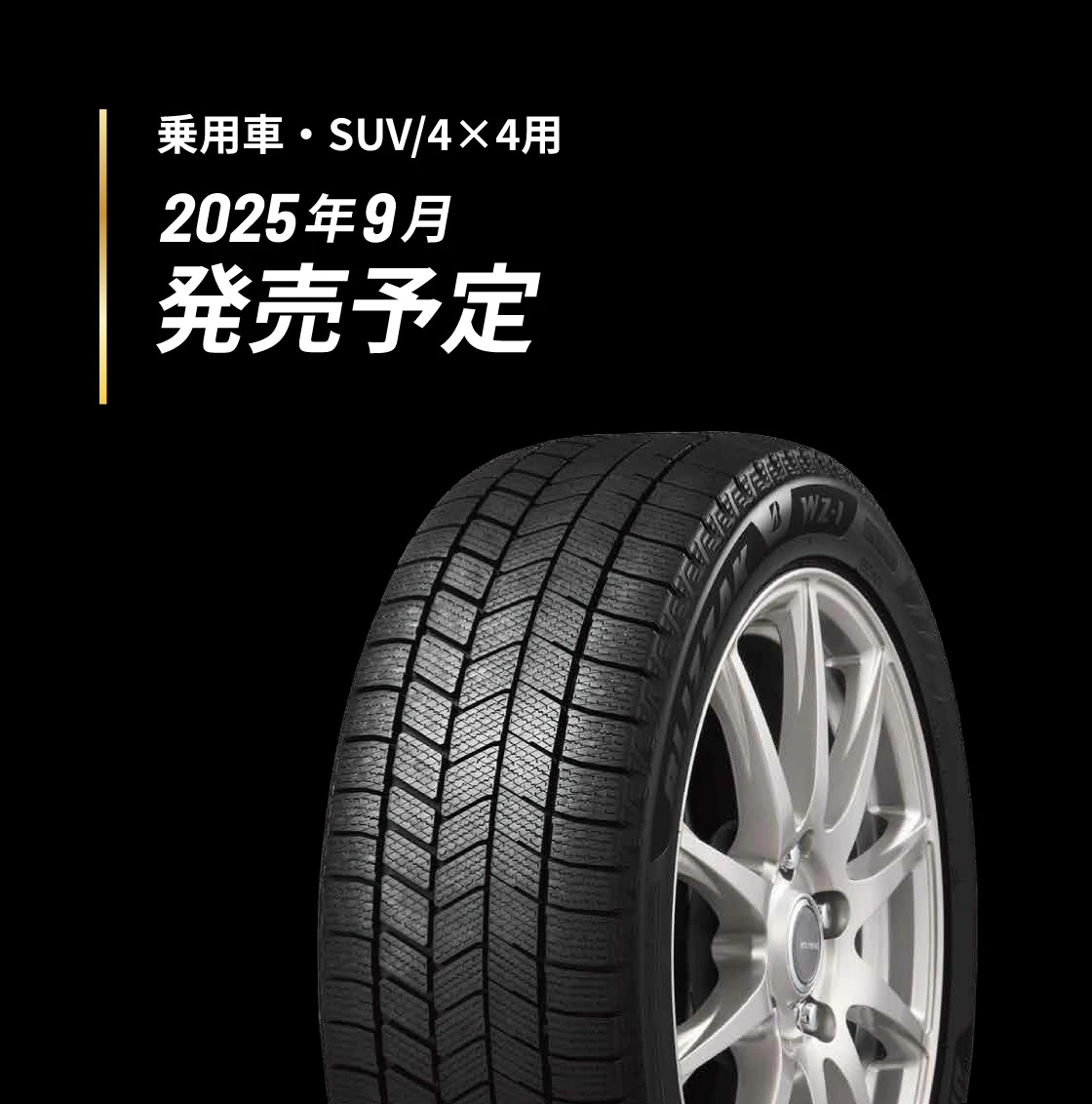 VW T-ロック A1DFF用 スタッドレス ダンロップ ウインターマックス03