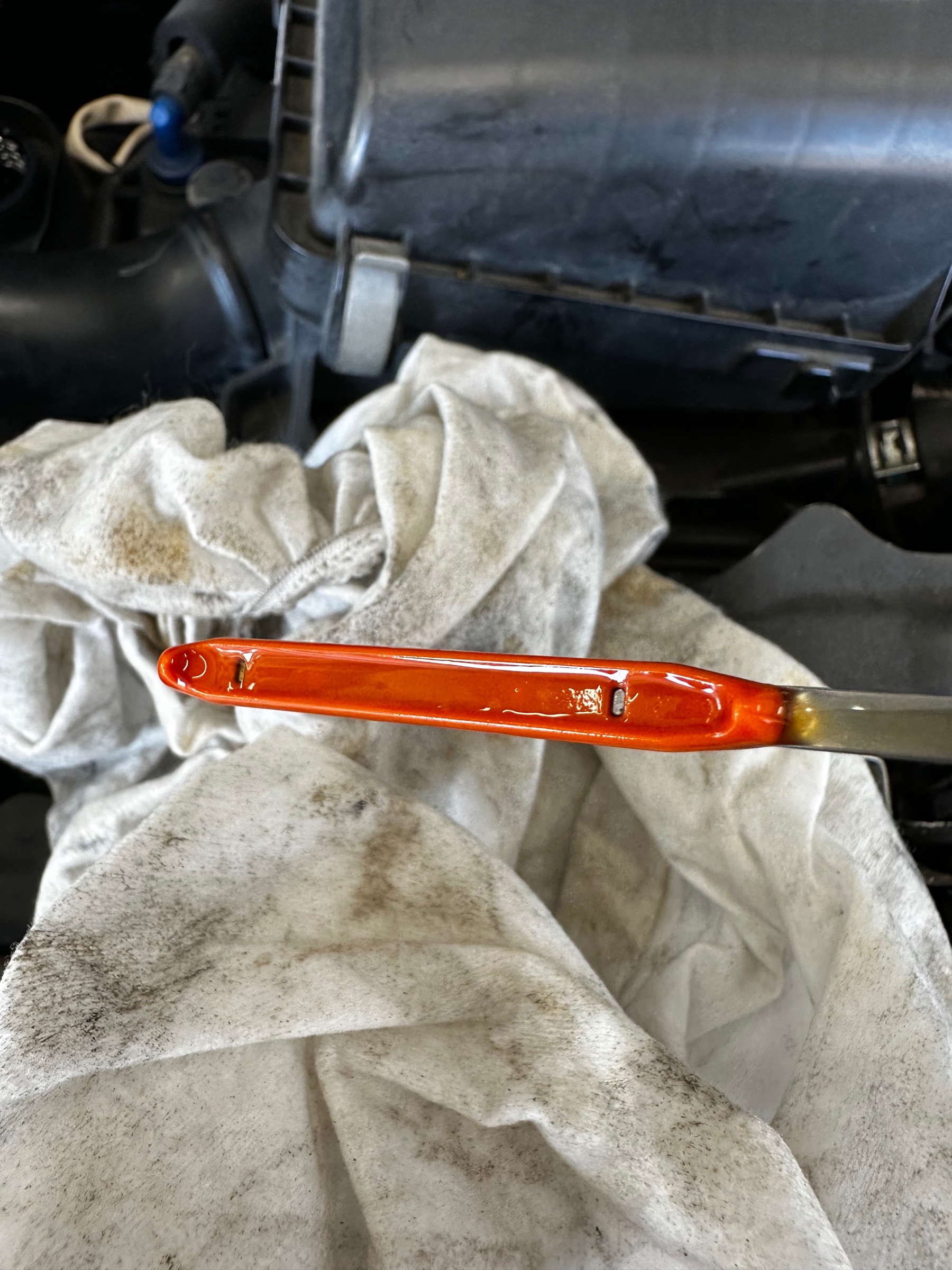 オイルゲージ確認