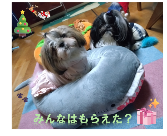 クリスマス5