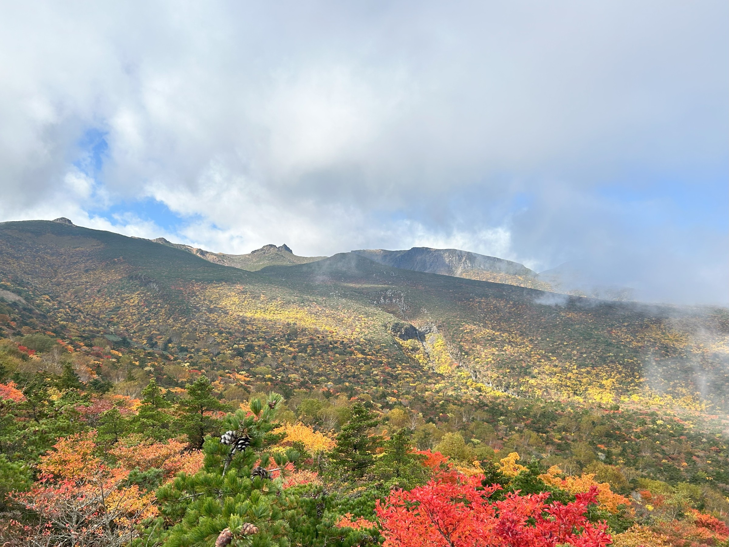 自分で撮った画像です