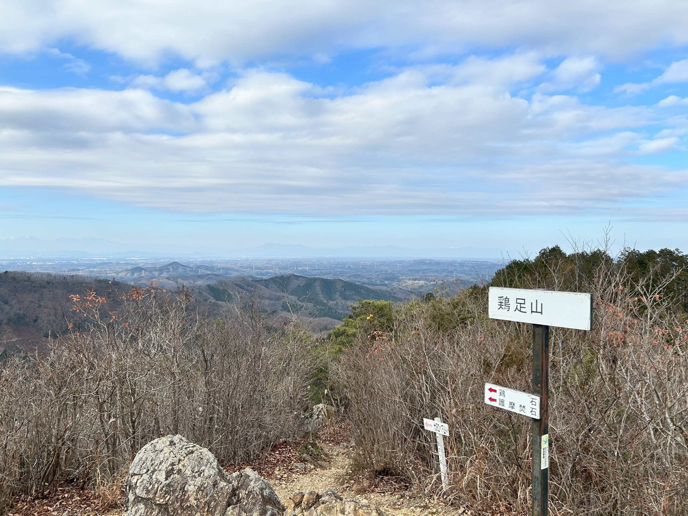 自分で撮った画像です