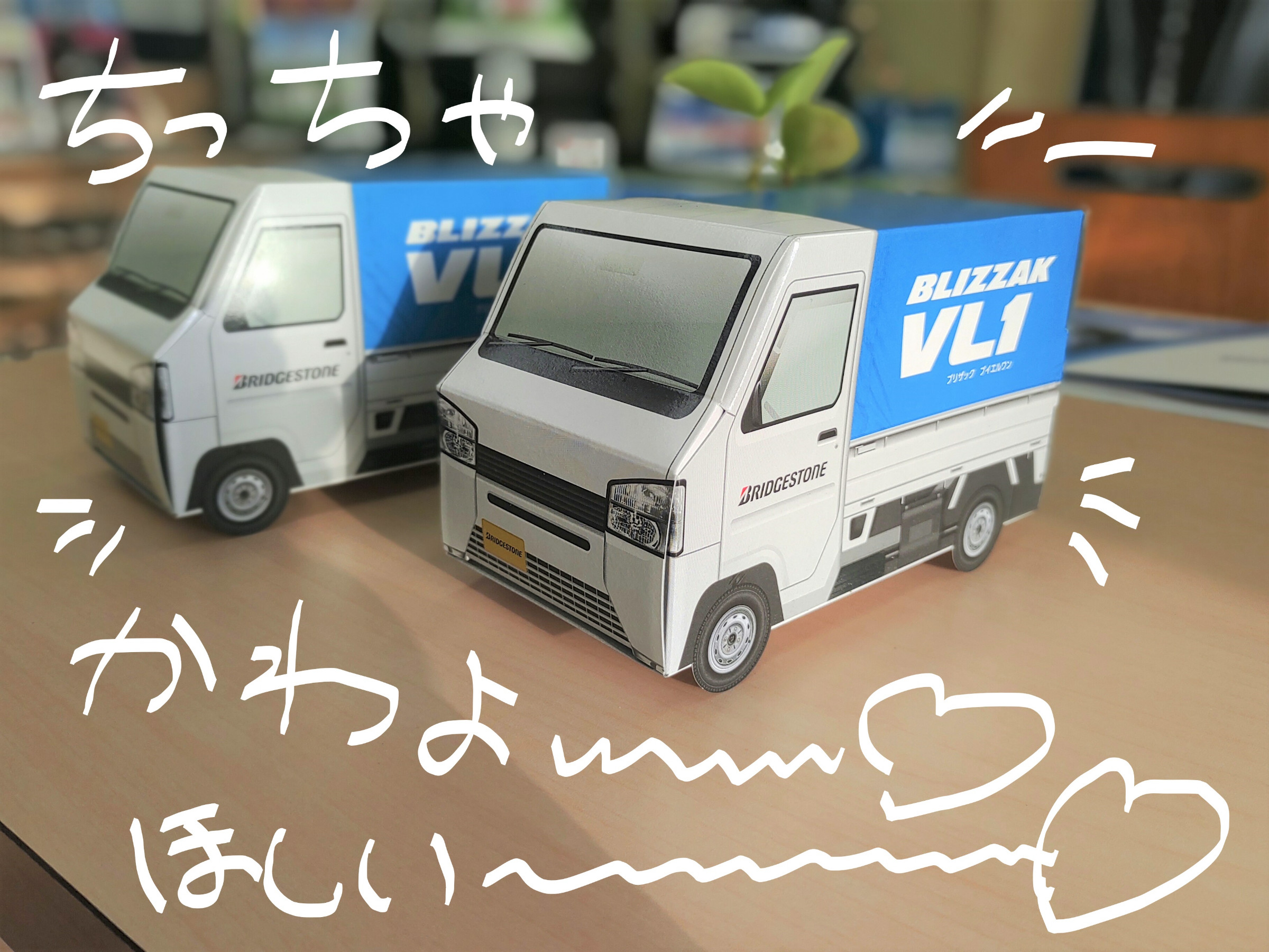 撮影：謎の事務員さん