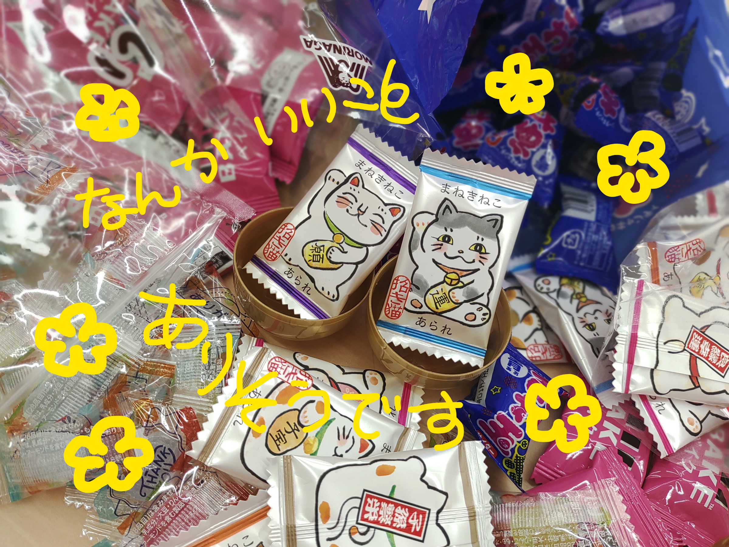 撮影：謎の事務員さん