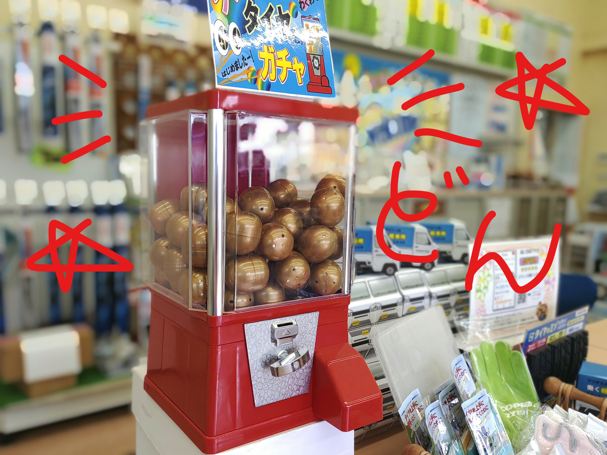 撮影：謎の事務員さん