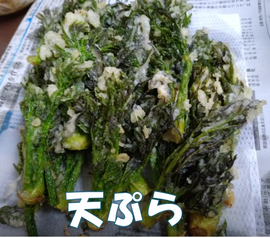 天ぷら
