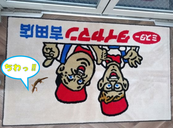 ちわっ
