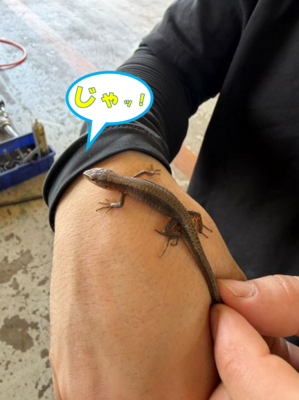 じゃ