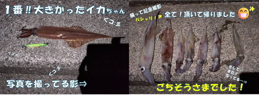 いか