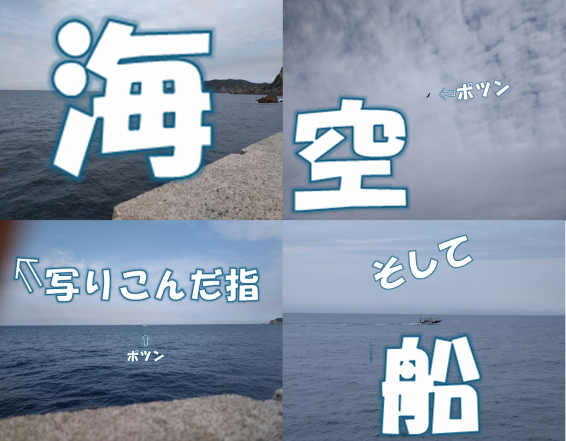 海