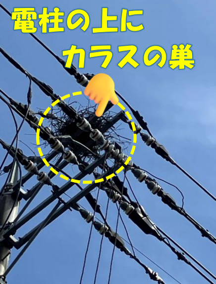 巣